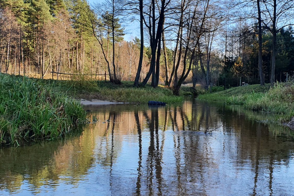 Stawiska