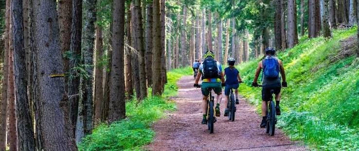 Szlaki rowerowe Roztocza